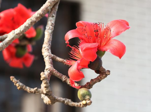 1652322060217206.png 36.png