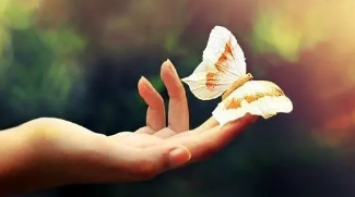 1572400159271350.png 20.png